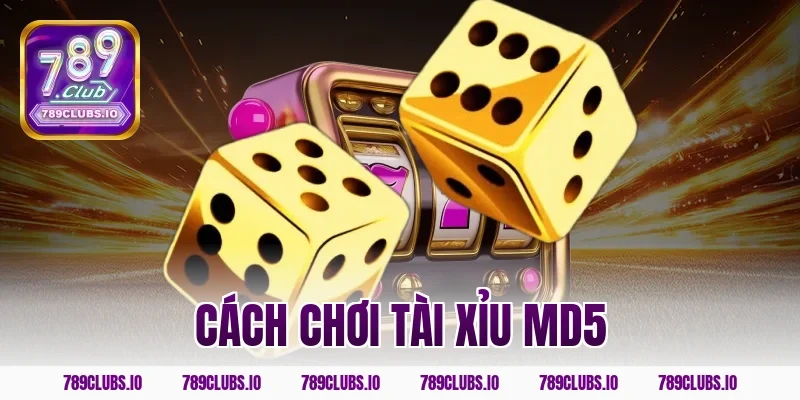 Khám phá cách chơi tài xỉu md5 789CLUB kiếm tiền cực nhanh