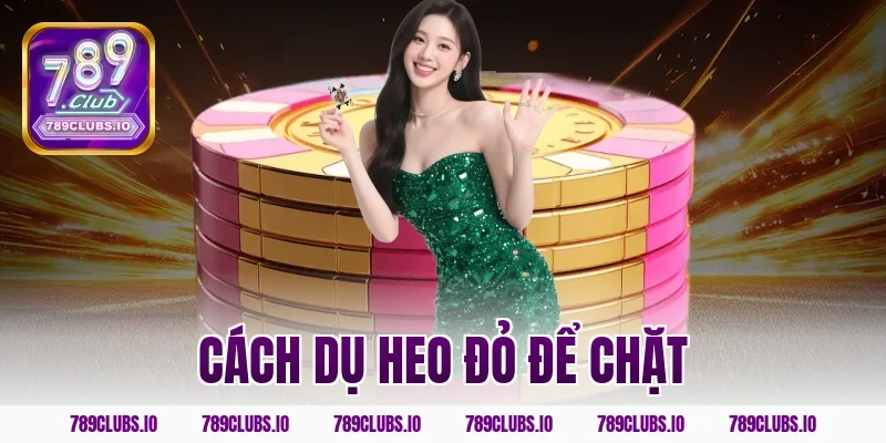 Bí kíp cách dụ heo đỏ để chặt đẳng cấp cao tại app 789CLUB